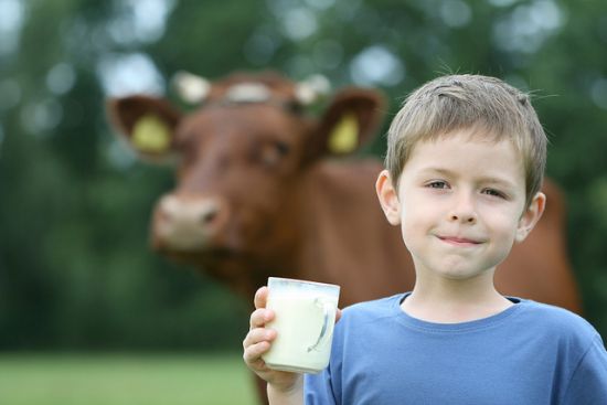 Αλλεργία στο γάλα αγελάδας